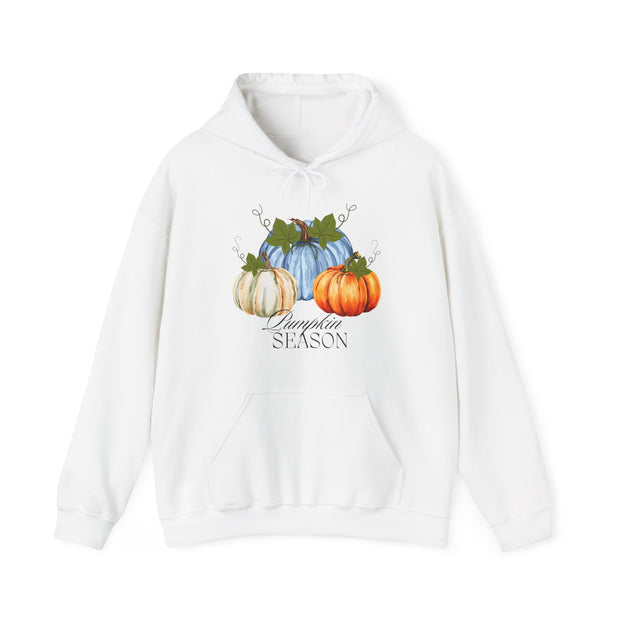 Pumpkin season Unisex Heavy Blend™ Hooded Sweatshirt